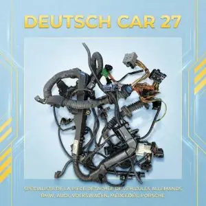 FAISCEAU MOTEUR BMW X5 E70 40D N57 851187703 / 780832507